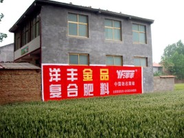 绍兴如何让墙体广告展现最大化效果
