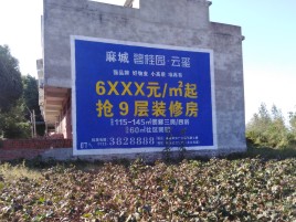 绍兴品牌公司青睐的墙体广告