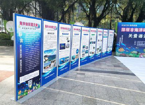 绍兴KT板的种类和知识。